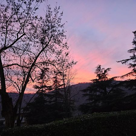 Home Story Via Della Resistenza 3 La Noce Mercatale Ozzano Dell'Emilia Bo Exteriér fotografie